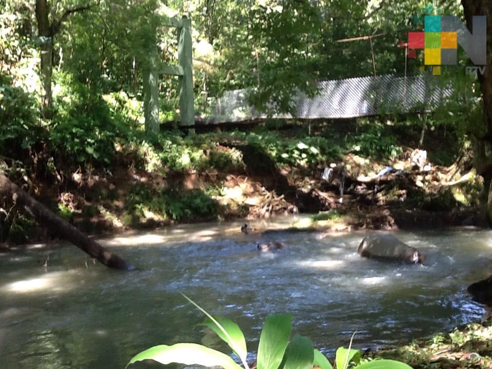 Si sociedad se suma a  restauración y mantenimiento de espacios forestales se recuperarán las fuentes generadoras de agua