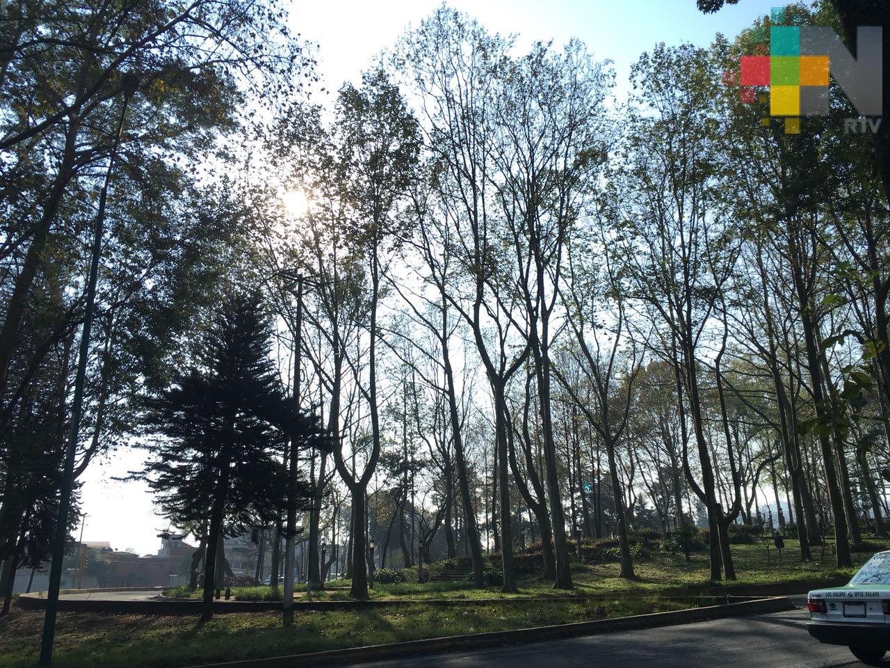 Ambiente cálido y bochornoso, potencial de tormentas aisladas en montañas en el estado