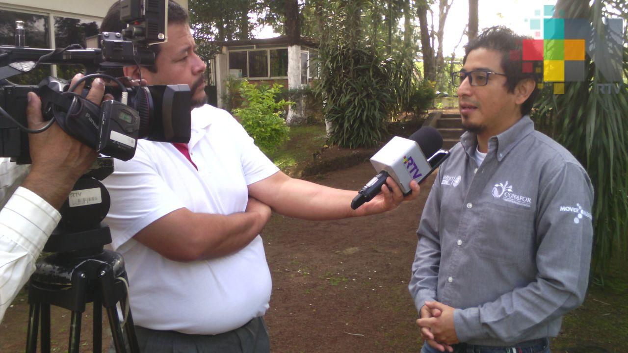 En 2018 se han registrado 13 incendios en Veracruz