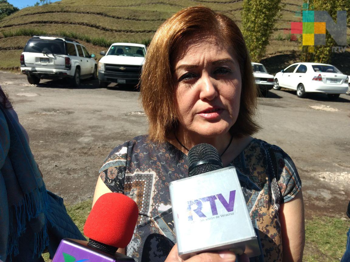 Eva Cadena presenta denuncia contra Rocío Nahle y Amado Cruz