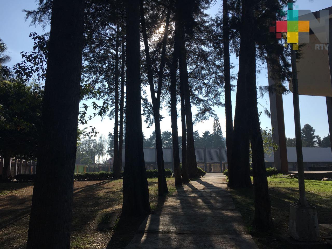 Recuperación de temperatura diurna con bajo potencial de lluvias en gran parte de Veracruz