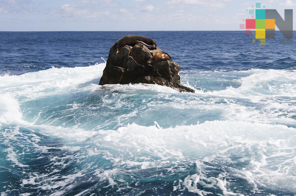 Aumento acelerado del nivel del mar en últimas décadas, revela estudio