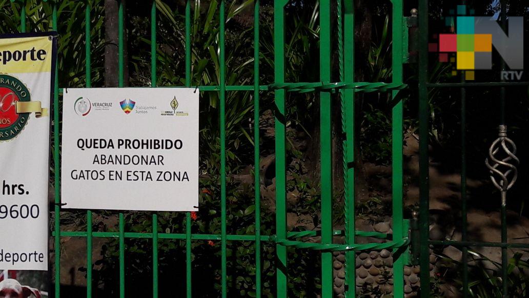 Autoridades reubicaron a los gatos del Parque Ecológico Adolfo Ruíz Cortínes al zoológico Miguel Ángel de Quevedo