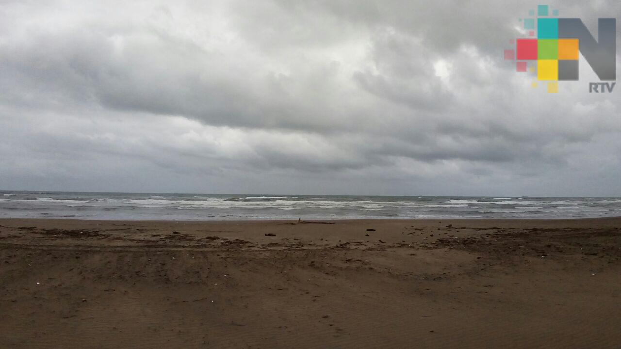 Lluvias-tormentas dispersas en zonas de costa del centro y en el sur