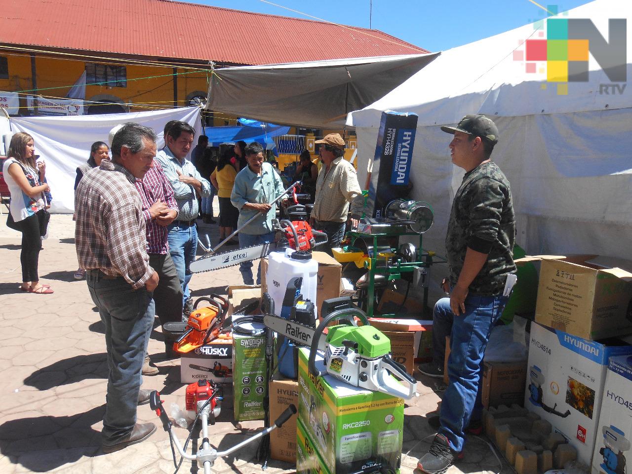 Tianguis agropecuario para incentivar la producción agrícola y ganadera en Huayacocotla