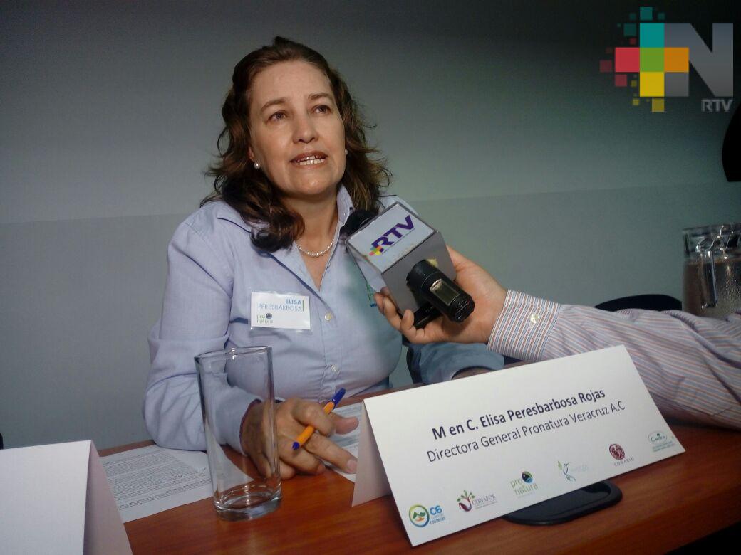Red de Viveros de Biodiversidad busca restaurar bosques, selvas y humedales nativos del Golfo de México