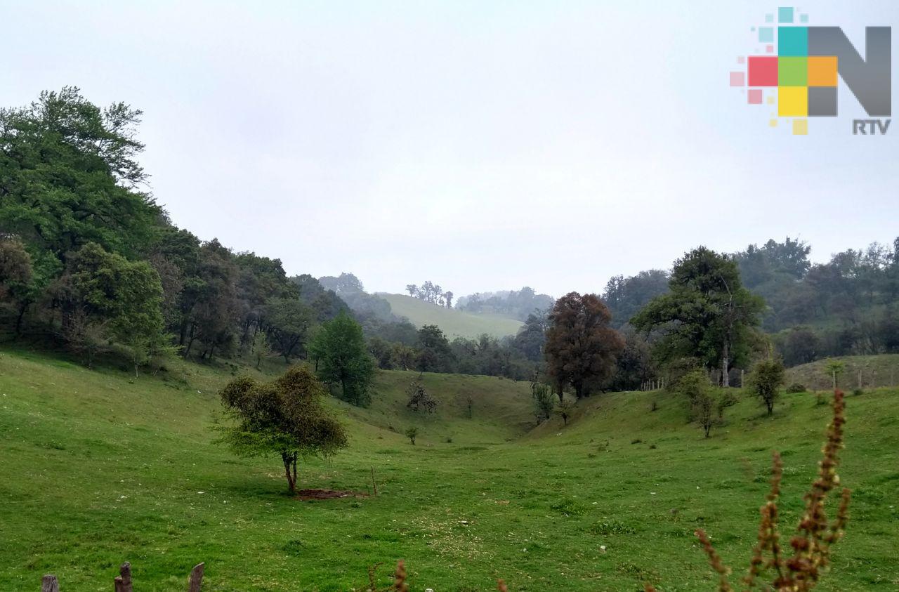 Investigan otro rancho en el municipio de Naolinco; podría ser de exfuncionarios de la pasada administración estatal