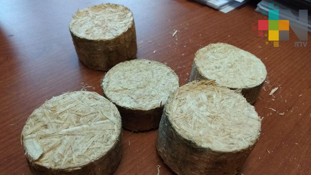 Conafor e INIFAP trabajan en biocombustibles para aprovechar desechos de los aserraderos