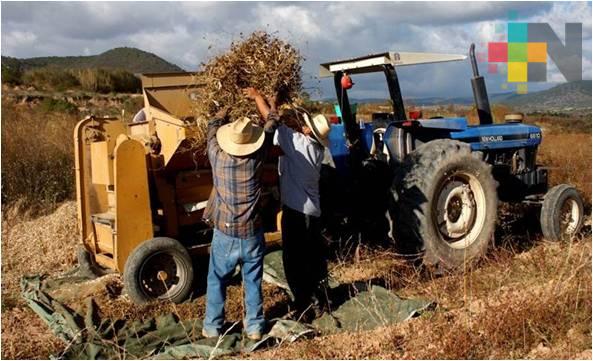 Central Campesina Independiente reelige dirigencia estatal