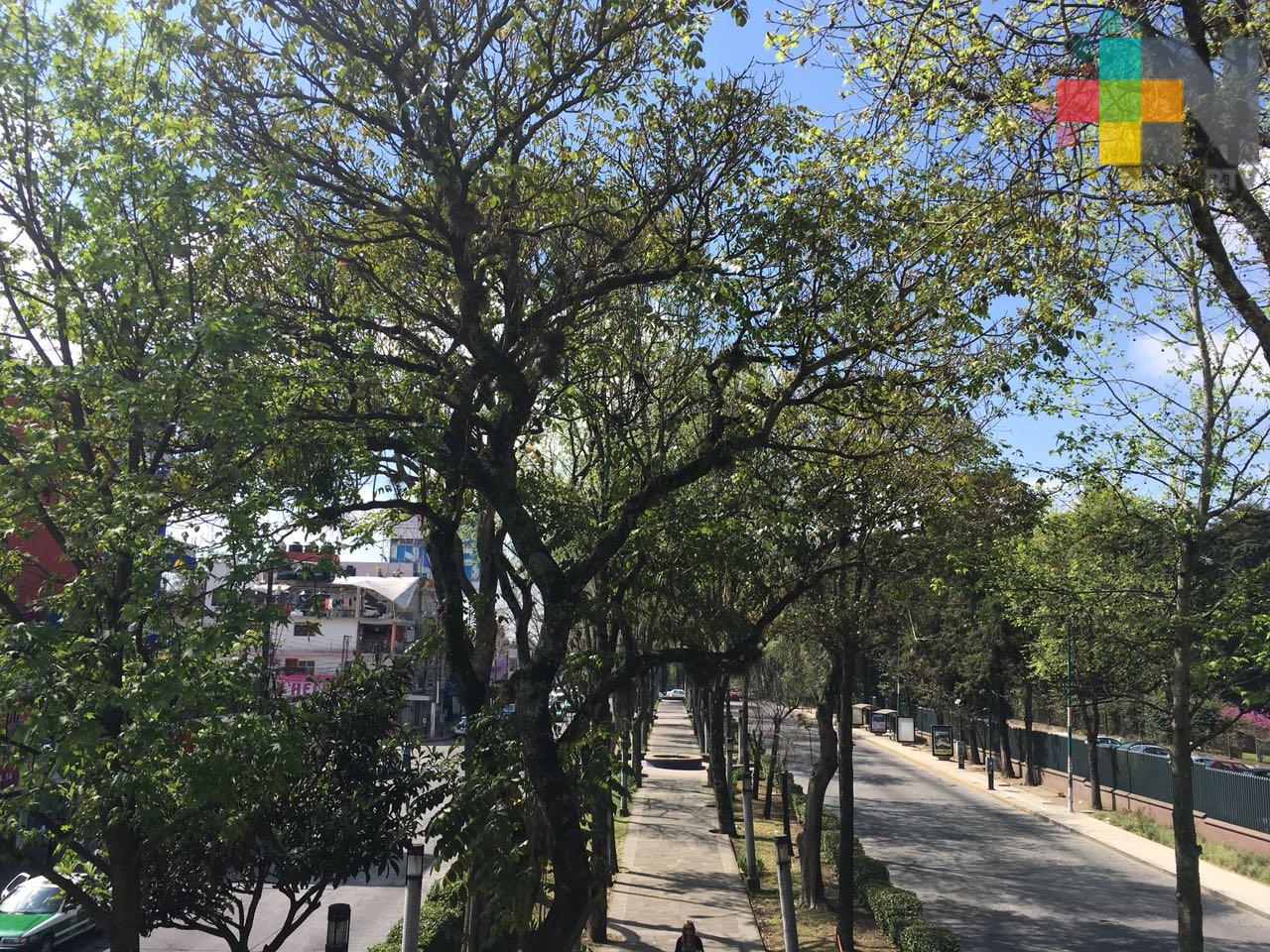 Temperatura diurna elevada, lluvias por la tarde en montaña y matutinas en costa