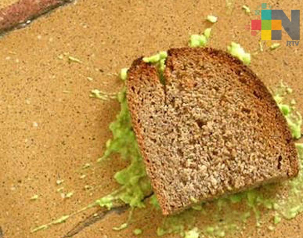 Importante no consumir alimentos que caen al suelo