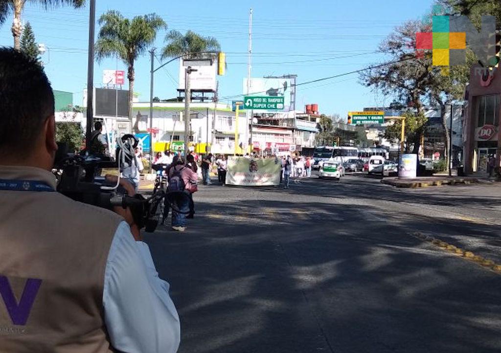 Celebran el Día de la familia con marcha en Xalapa