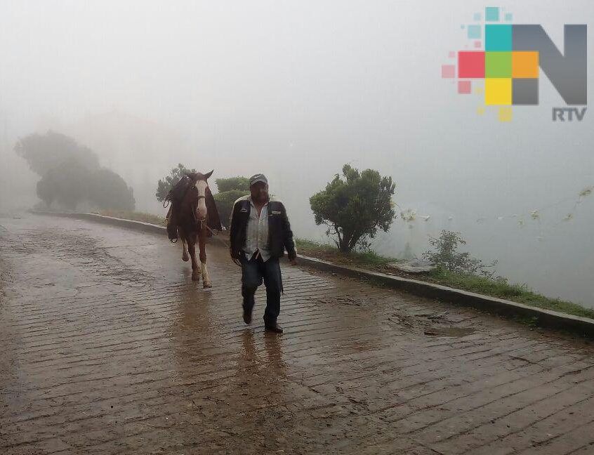 Lluvias y descenso de temperatura beneficia a los habitantes de la sierra norte de Veracruz