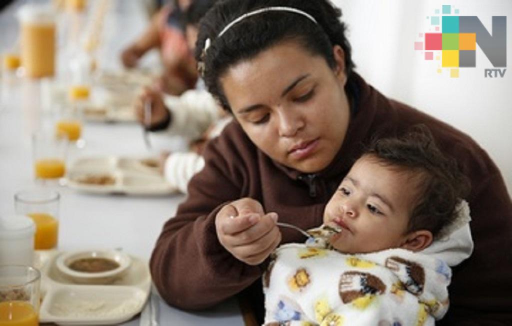 Sedesol de Veracruz continúa atendiendo a familias en situación de vulnerabilidad