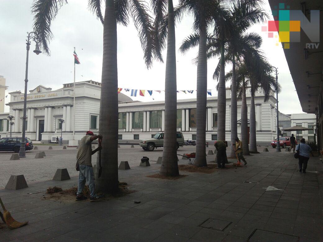 Realizan trabajos de mantenimiento para mejorar imagen de la ciudad de Veracruz