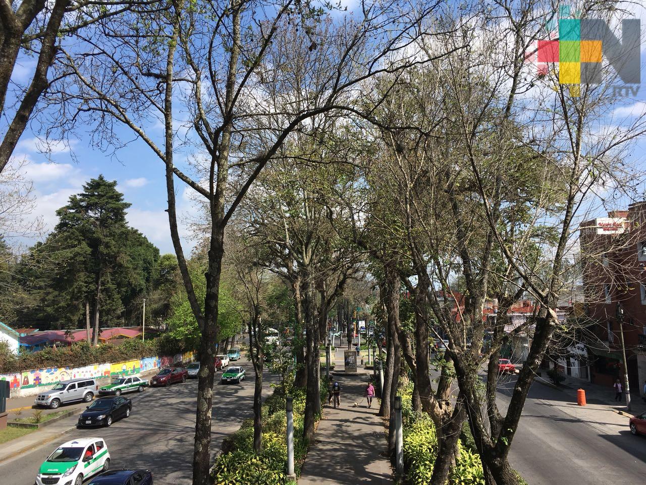 En próximas 24 horas se prevé disminuya probabilidad de lluvias y tormentas en el estado de Veracruz