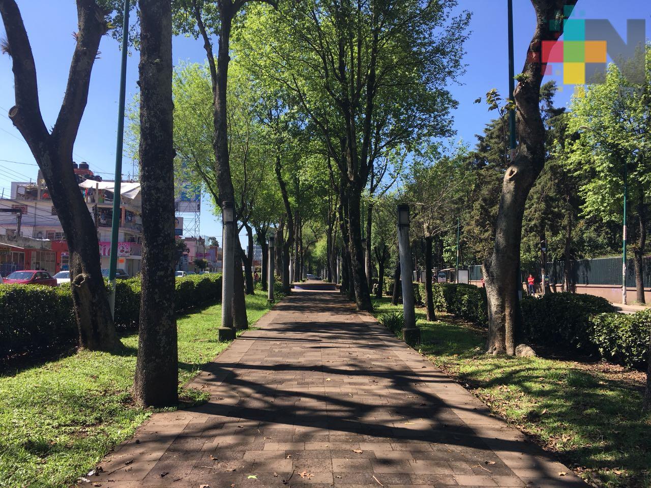 Ambiente templado con pocas lluvias, se espera un frente frío el fin de semana