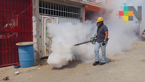 Refuerzan campaña de fumigación en colonias de Veracruz puerto