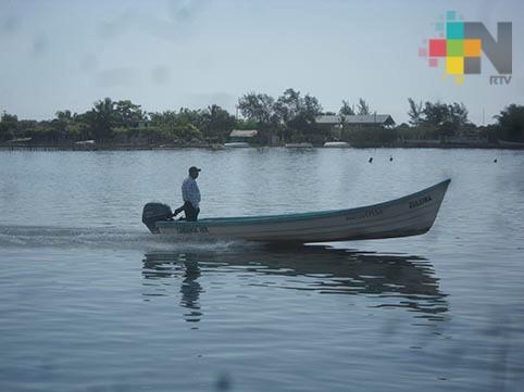 Altas temperaturas afectan economía de pescadores de Veracruz y Boca del Río