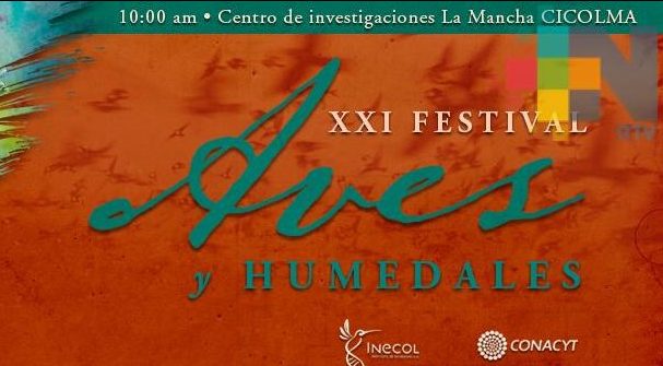 Inecol celebrará XXI aniversario del Festival de Aves y Humedales