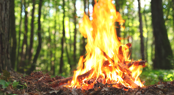 Cuidar fogatas y no tirar cigarrillos para evitar incendios forestales: PC Veracruz