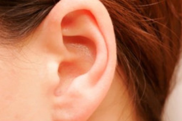 Científicos mexicanos diseñan implante de oreja