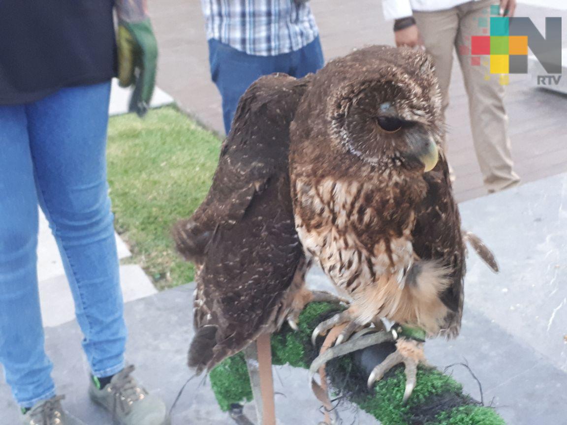 Realizan Eco Ayuda, evento para beneficiar a especies en cautiverio