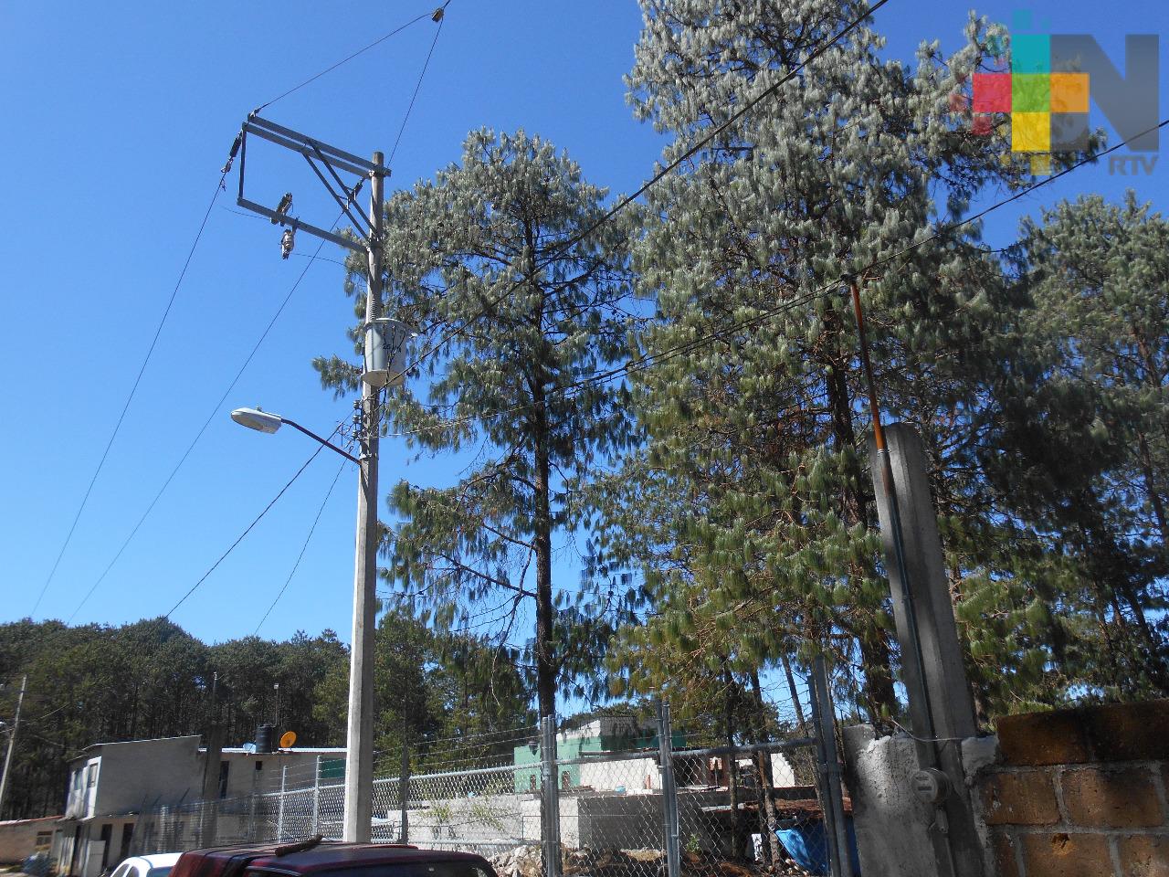 Evaluarán árboles cercanos a viviendas, en Huayacocotla