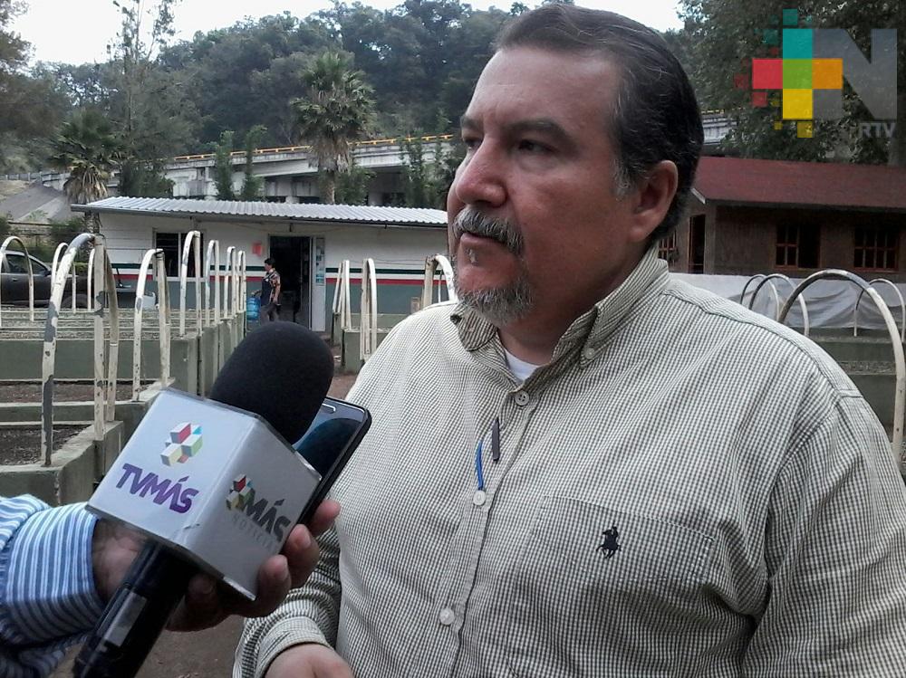 Conafor promueve concurso nacional de fotografía “Visión forestal y centinelas del tiempo”