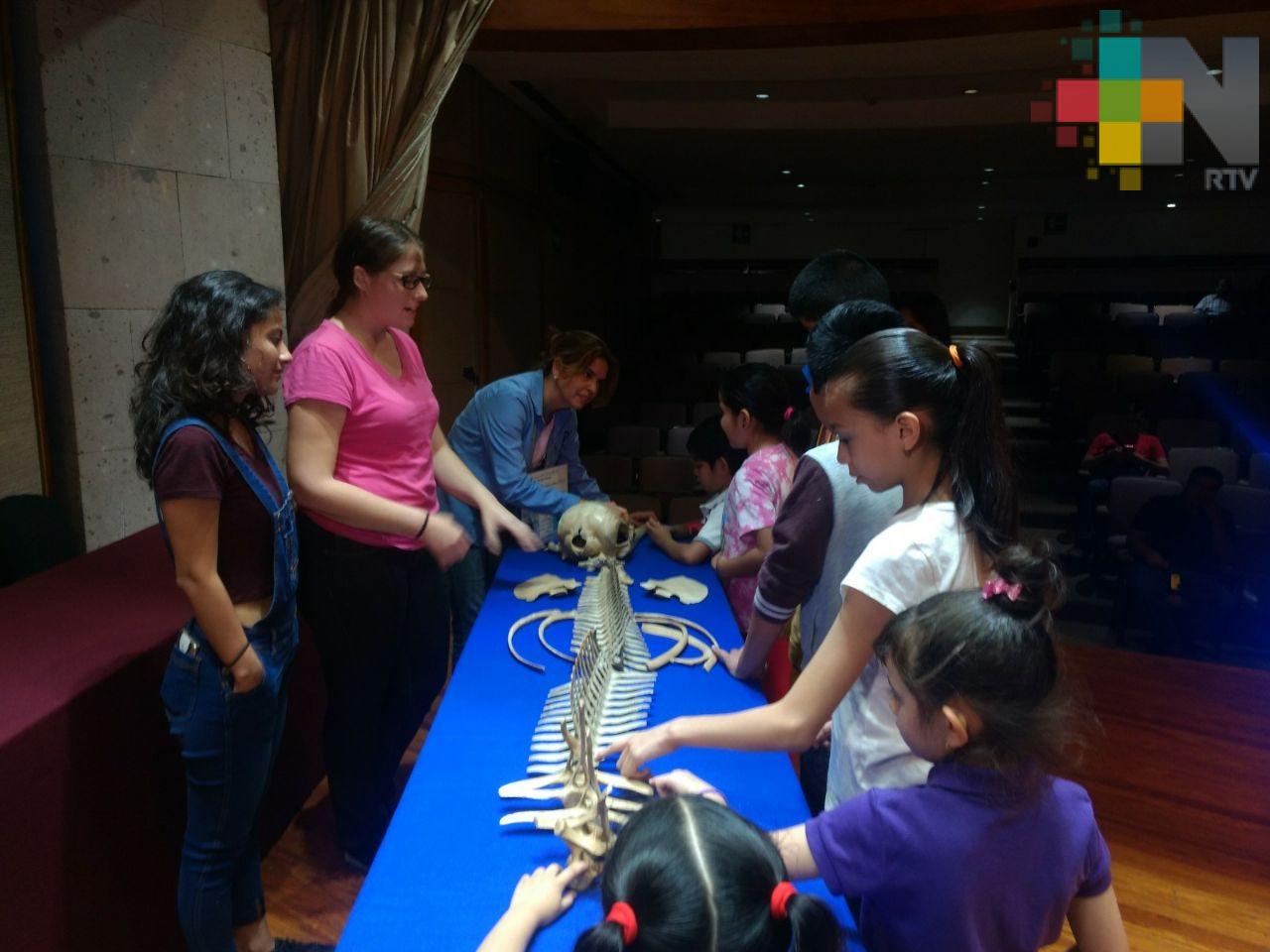 Delfines, especies marinas que más padecen los grados de contaminación