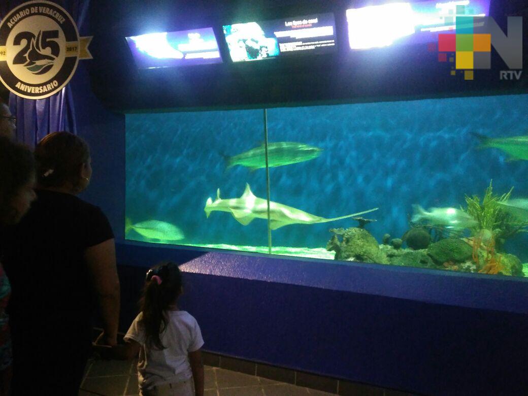 Invitan a los campamentos nocturnos para niños en el Acuario de Veracruz
