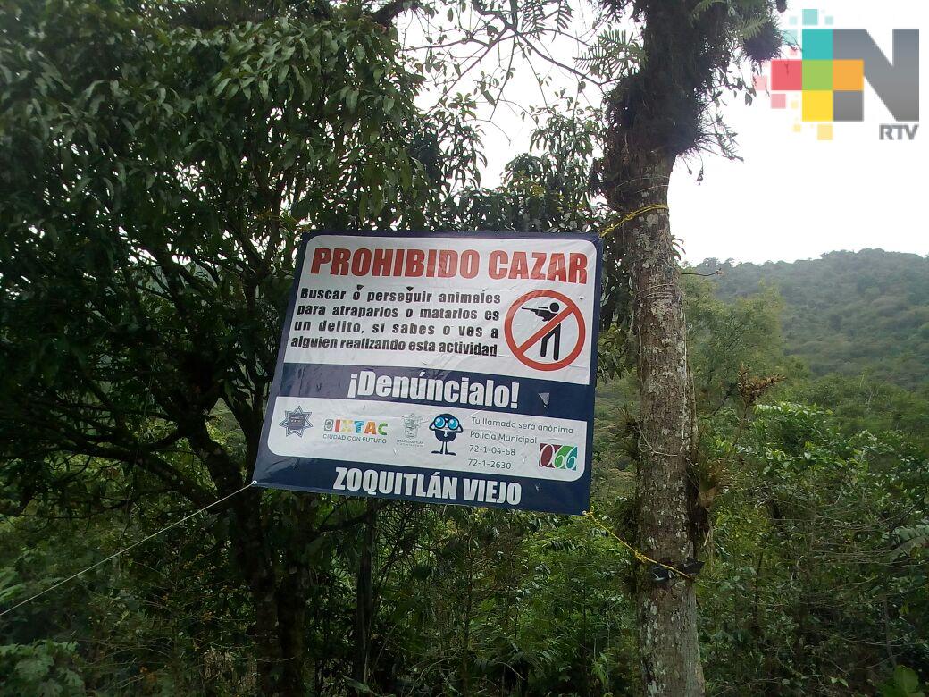 En Ixtaczoquitlán implementan «Cero tolerancia contra la caza de fauna silvestre»