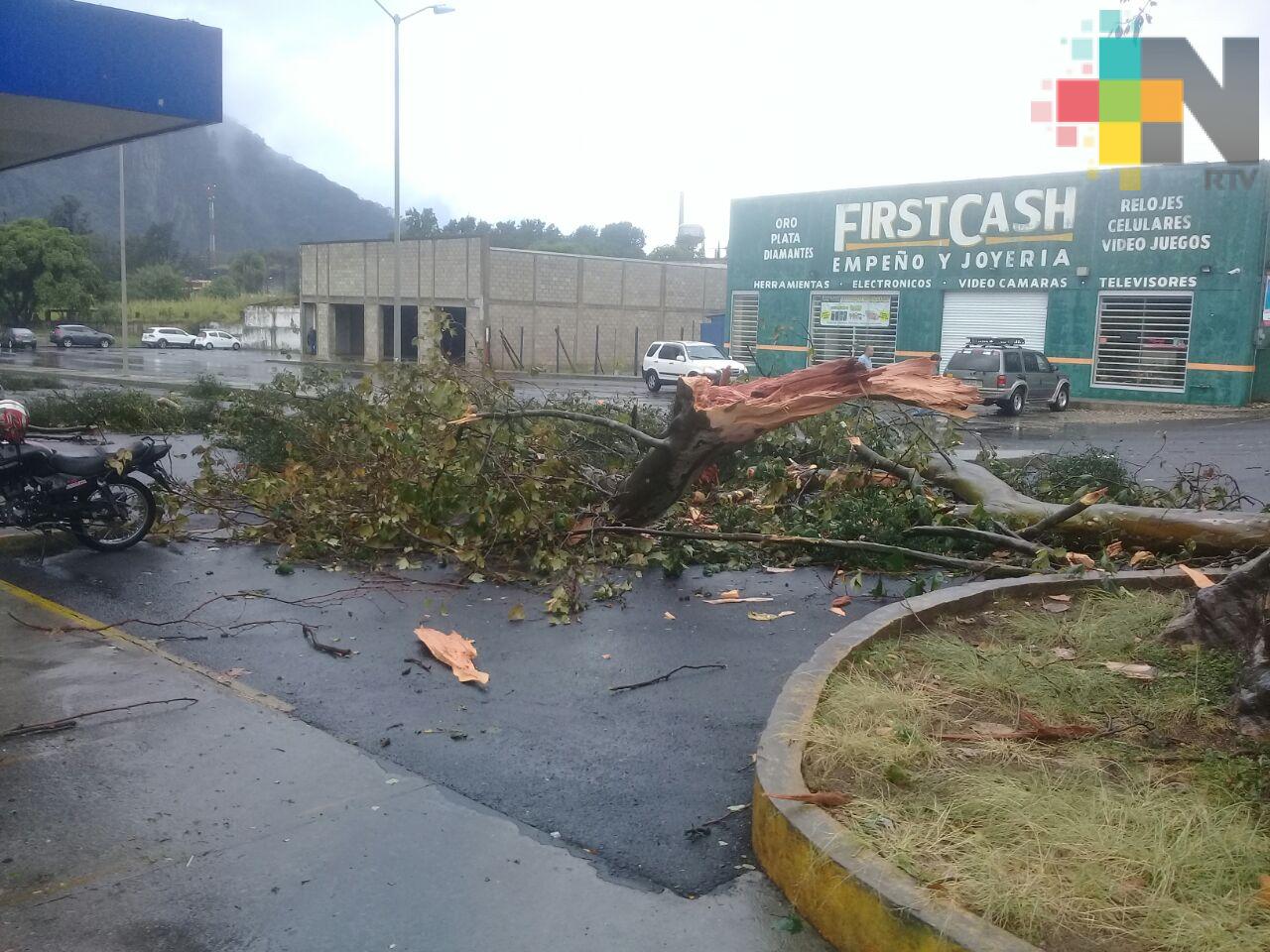 Fuerte lluvia y granizada en Río Blanco deja daños materiales y problemas en vialidades