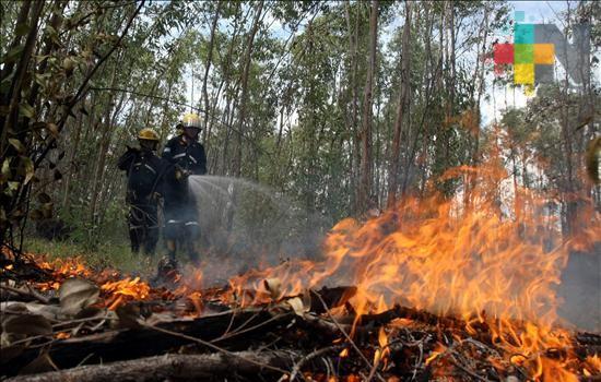 PC exhorta a población a extremar precauciones para prevenir incendios forestales en zona norte