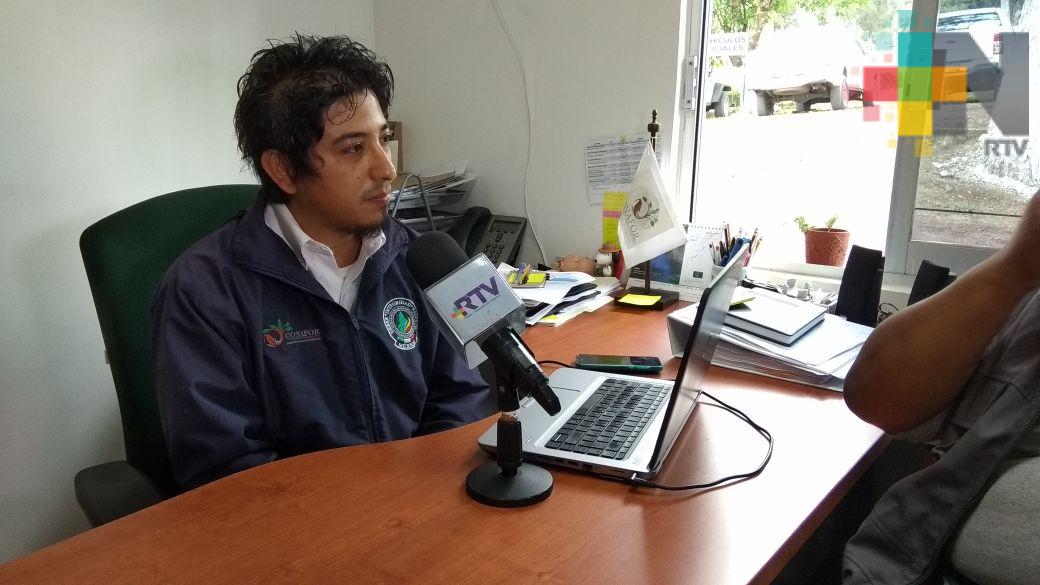 Factor humano, principal causante de incendios: Conafor