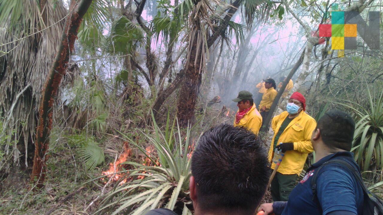 Controlan incendio en ejidos de Tuzamapan