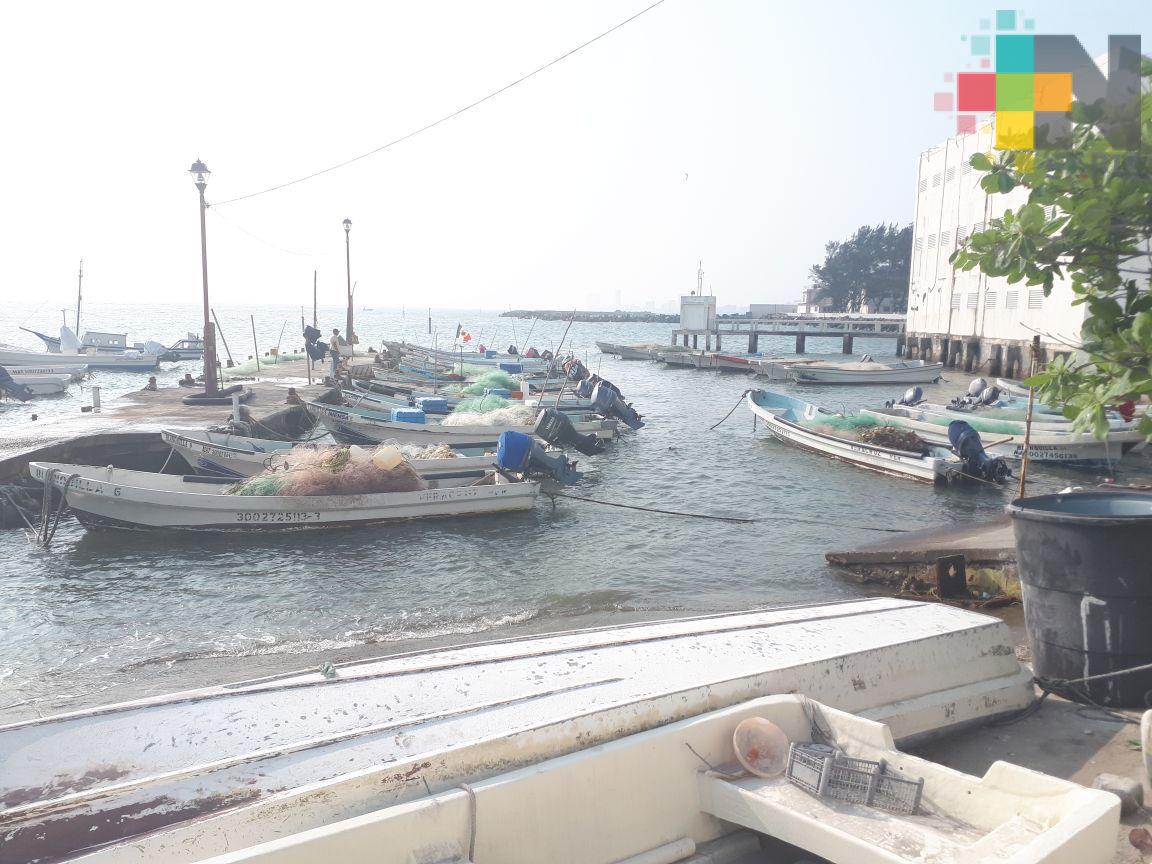 Aumenta 70% actividad pesquera en Veracruz puerto