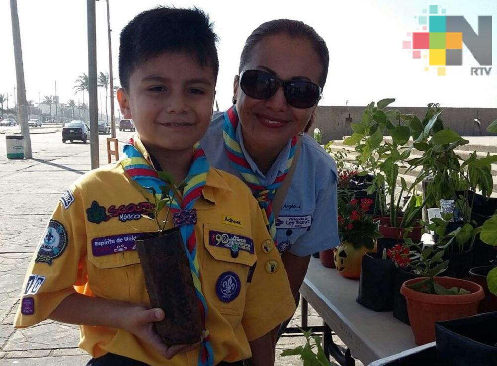 En Coatzacoalcos cambian macetas por víveres y artículos de primera necesidad