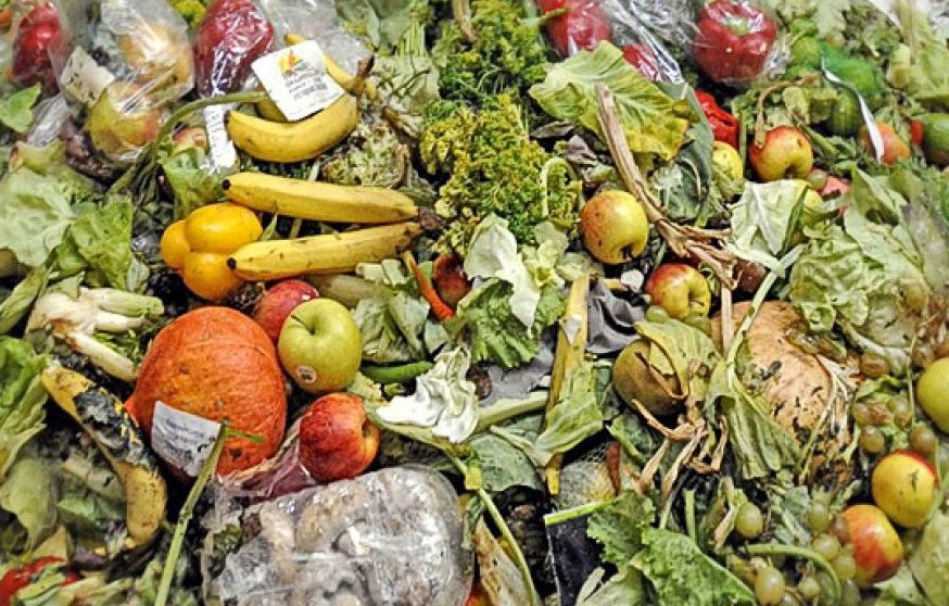 Diariamente se desperdician mil millones de toneladas de alimentos en el mundo