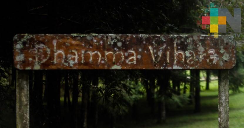 Monasterio Dhamma Vihara invita a la reflexión para lograr la paz y el desarrollo en Veracruz y México
