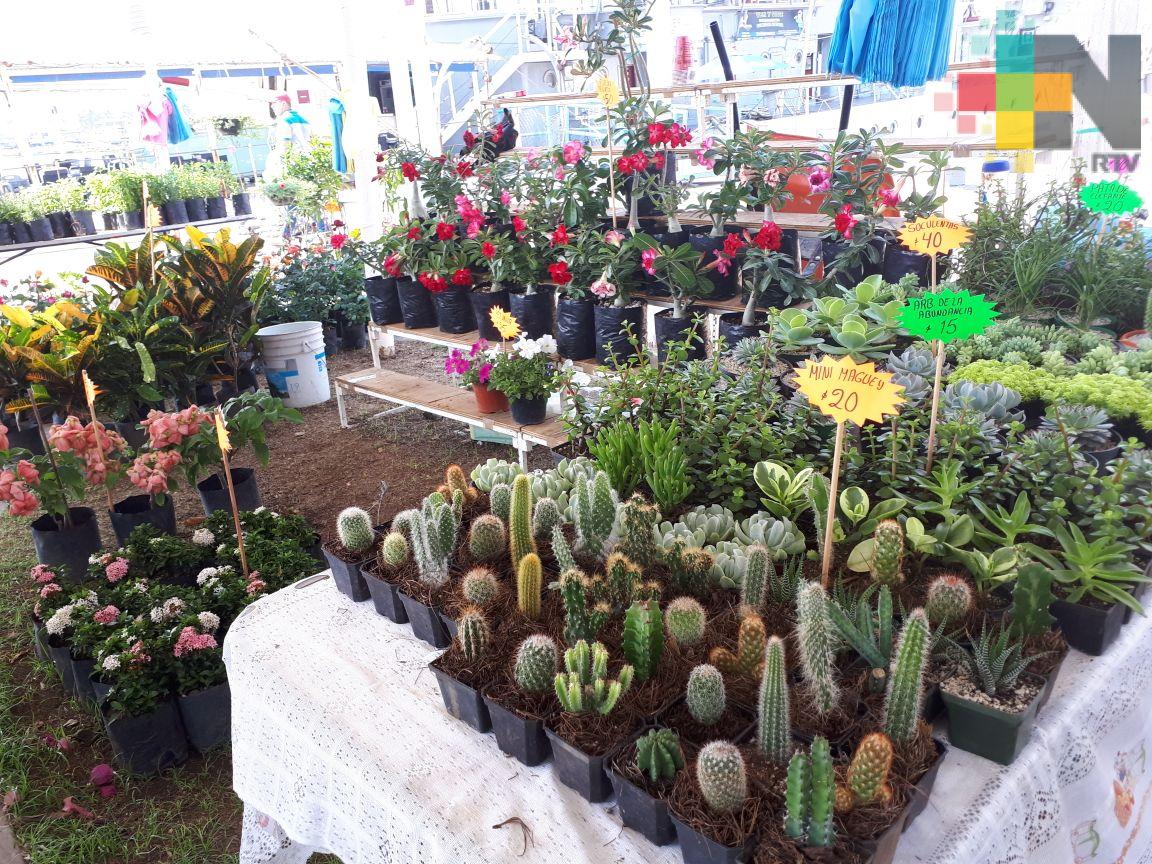 Hasta el domingo ofrecerán flores y plantas en Plaza Banderas de Boca del Río