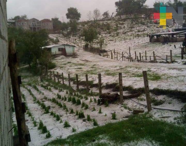 Fuerte granizada en zona de las Altas Montañas origina daños a la agricultura