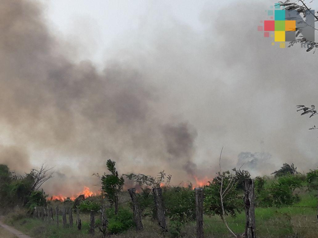 Incendio de 8 hectáreas en la comunidad de Los Mangos, en Tierra Blanca