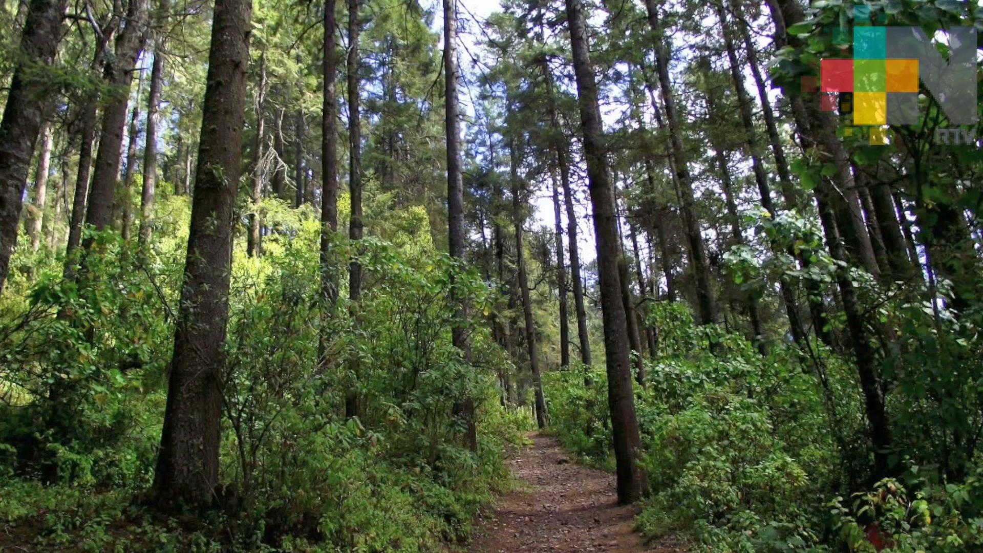 Ley General de Desarrollo Sustentable tendrá que modificar algunos artículos: Inecol