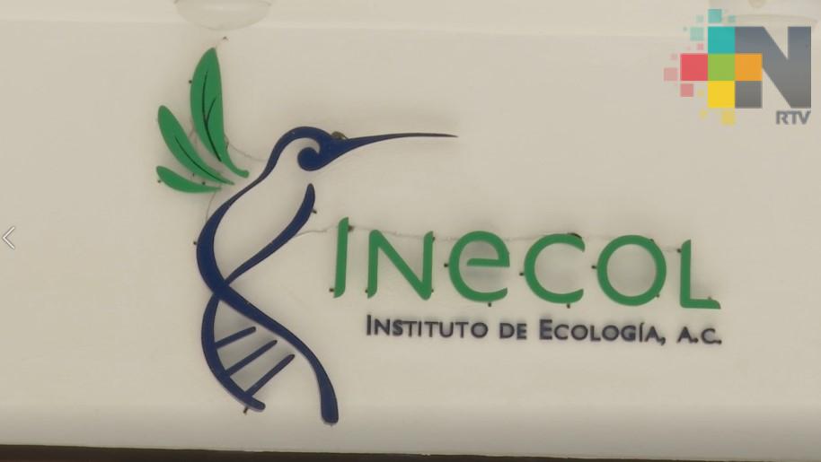 Inecol Xalapa realiza investigación medioambiental propia y a petición de proyectos específicos