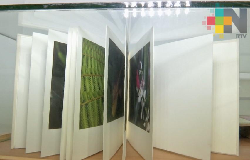 Inauguran exposición “Libro de artista” en la galería Fernando Vilchis