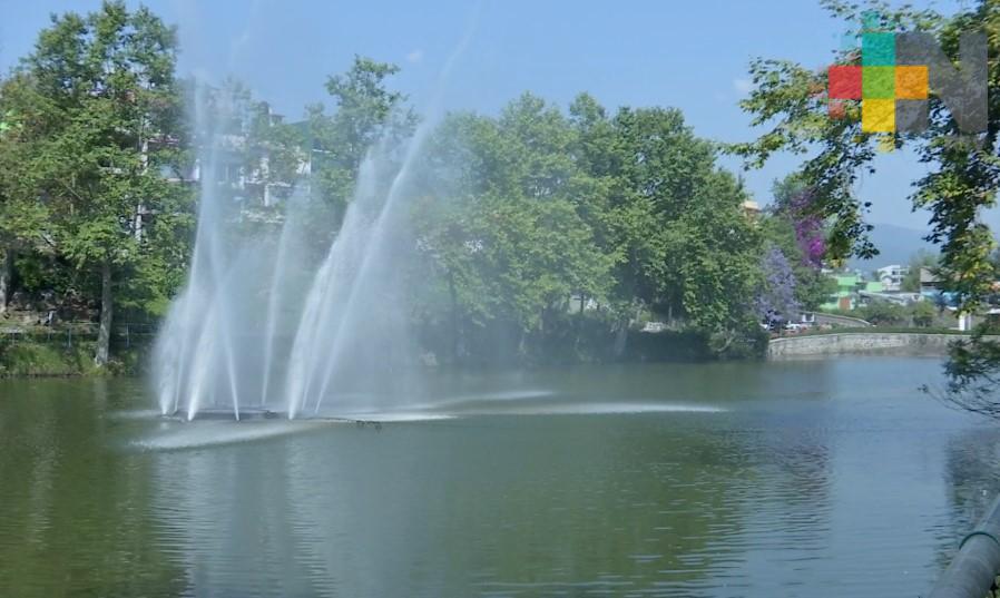 Con humedales flotantes, Inecol monitorea calidad del agua de Los Lagos de Xalapa