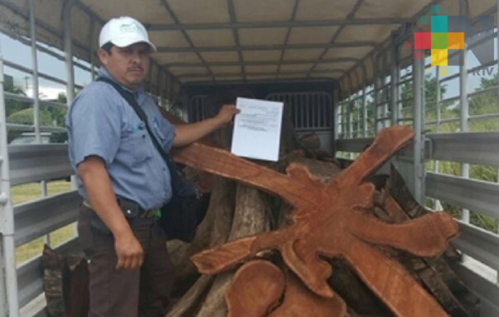 Profepa asegura madera en zona de influencia de parque Pico de Orizaba