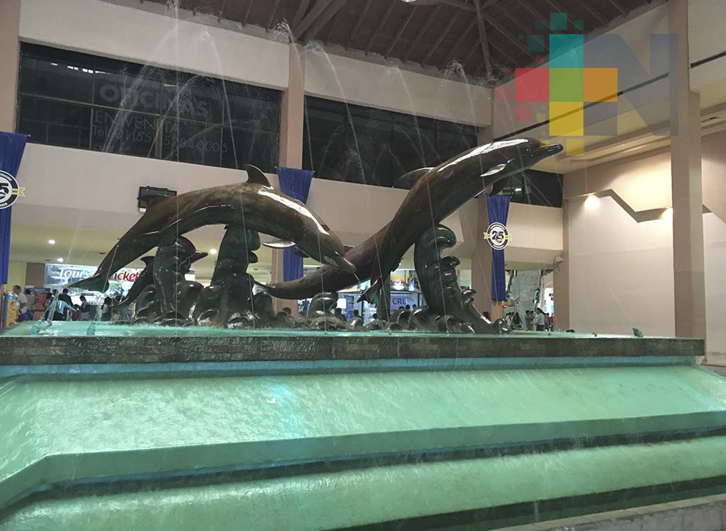 Profepa investiga posibles daños a especies marinas en Acuario de Veracruz