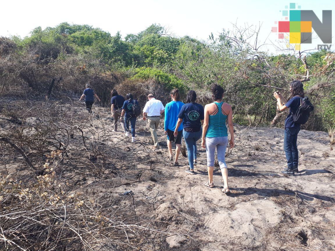 Ecosistema de la Riviera Veracruzana tardaría hasta dos años en recuperarse tras incendio